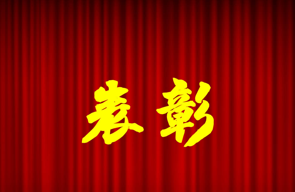 逐光前行、榮耀共鑒 | 公司2024年度表彰來啦！